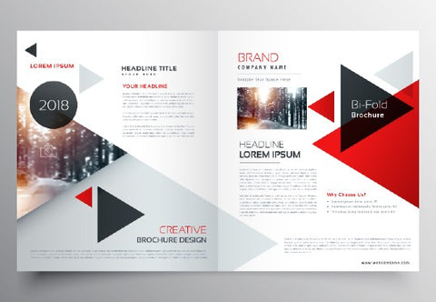 Cataloguing Evitamin Business Consulting Pvt. Ltd. 